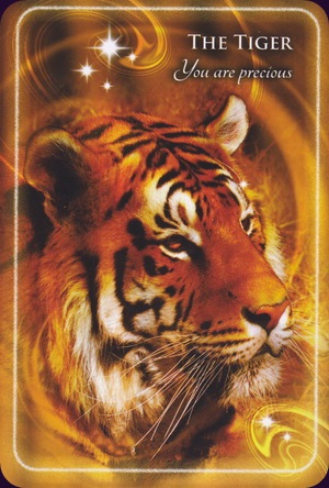 animal-whispers-empowerment-cards-11195