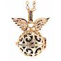Angel Caller - Curls with Wings locket (gold) Ac22/aegw