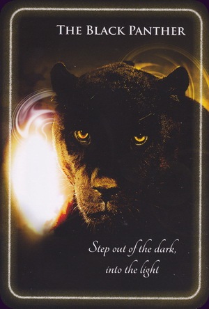 animal-whispers-empowerment-cards-11190 animal-whispers-empowerment-cards-11190