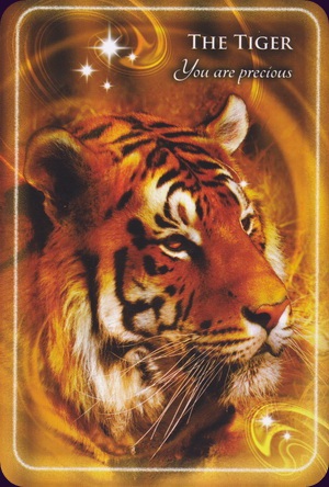 animal-whispers-empowerment-cards-11195 animal-whispers-empowerment-cards-11195