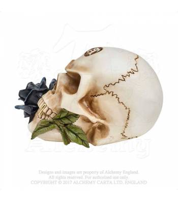 black-rose-alchemist-skull1 black-rose-alchemist-skull1