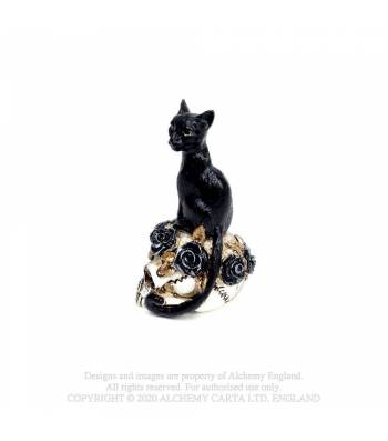 cat-skull-miniture1 cat-skull-miniture1