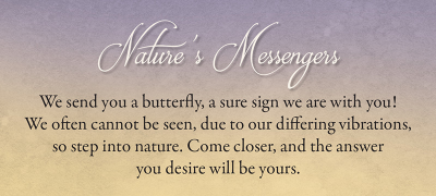 faery-whispers-3-525 faery-whispers-3-525