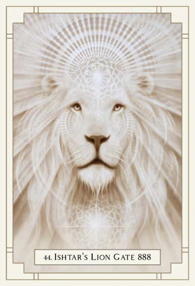 lion-282 lion-282