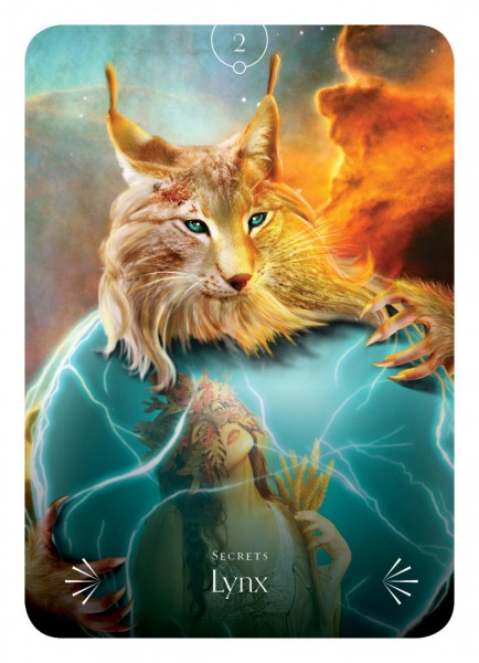 lynx lynx