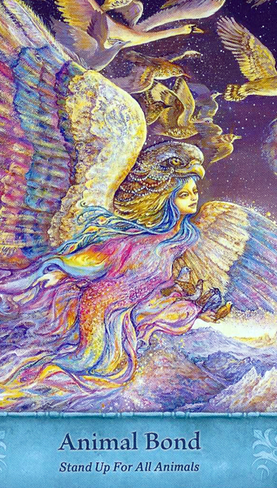 mystical-wisdom40 mystical-wisdom40