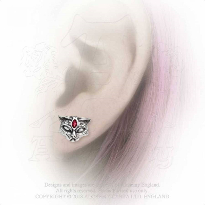 sacred-cat-studs1-559 sacred-cat-studs1-559